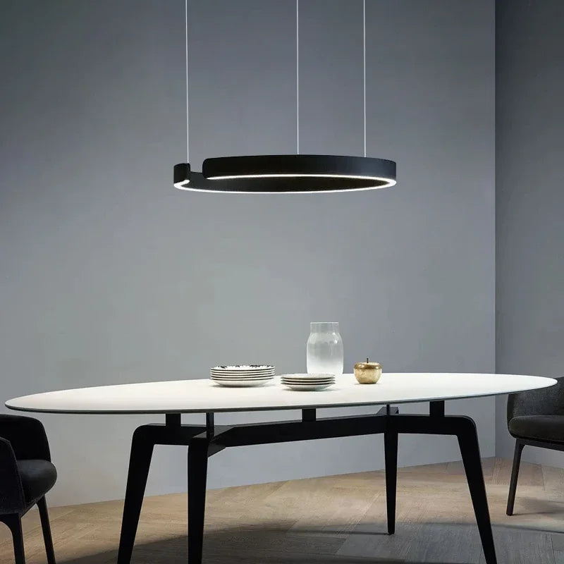 Circular Pendant Light Adjustable Hanging Lamp