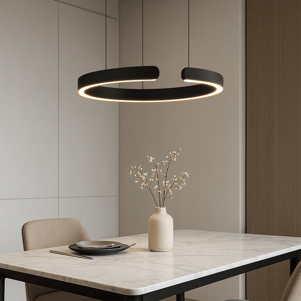 Circular Pendant Light Adjustable Hanging Lamp